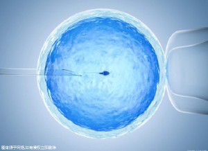 胚胎培养箱